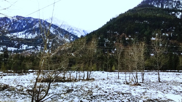 Manali