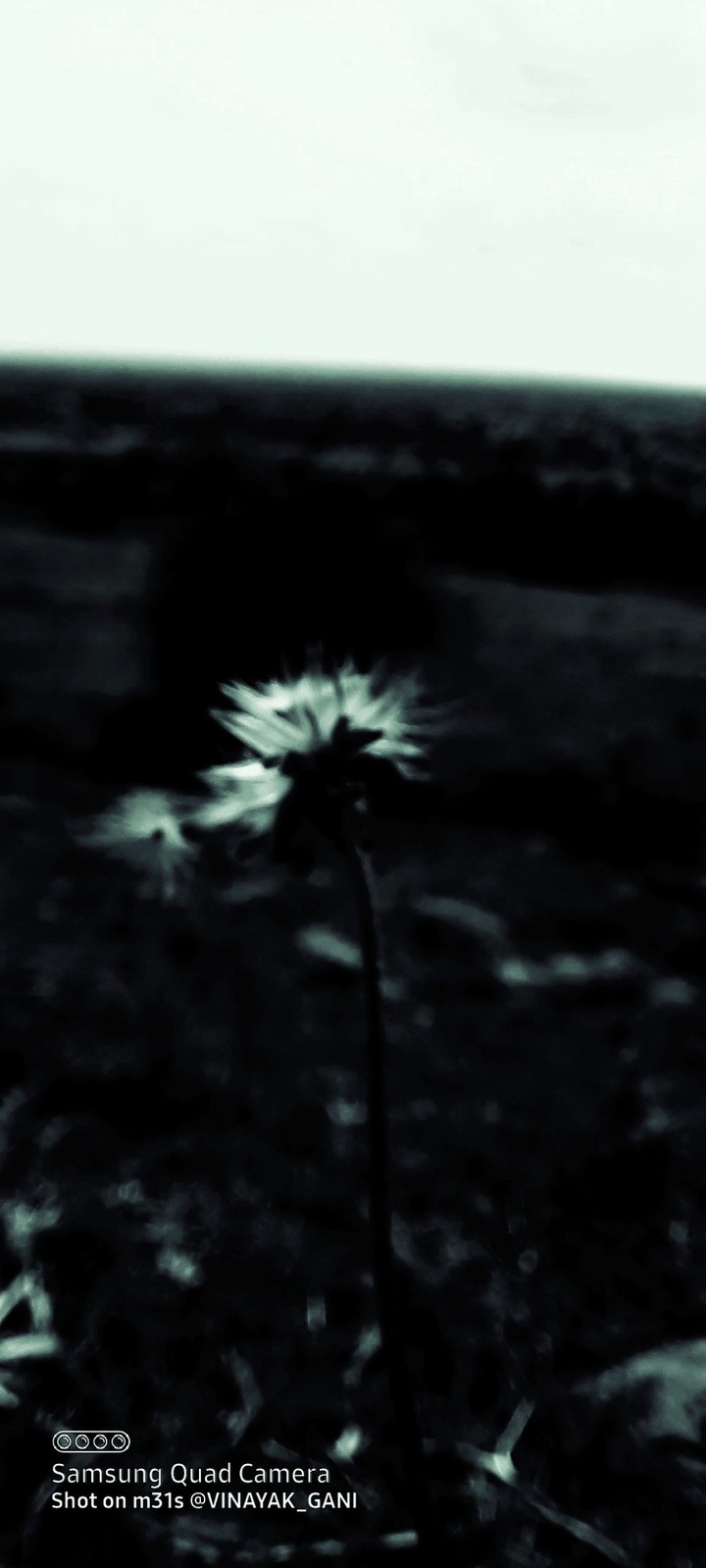 Black and white are not sad, it’s poetic