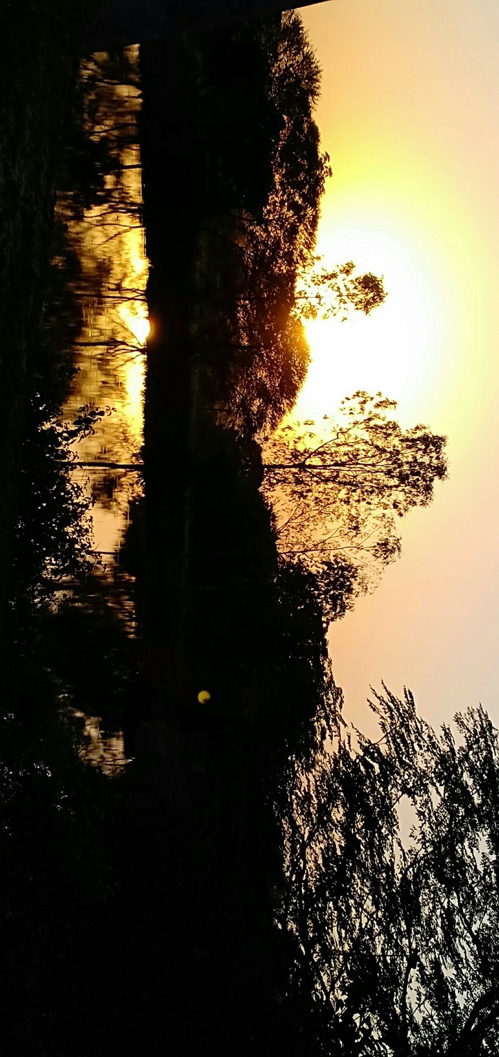 from jyoti Rani