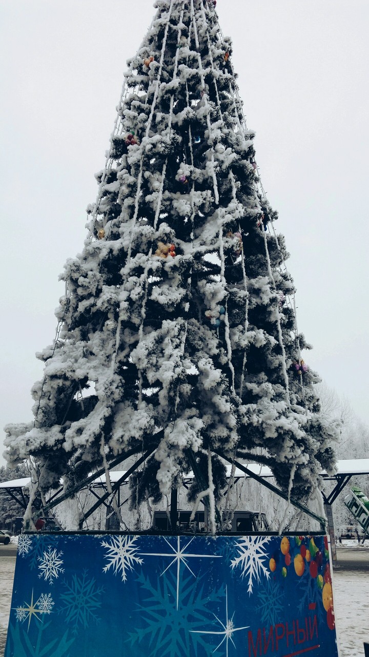 морозная ёлочка