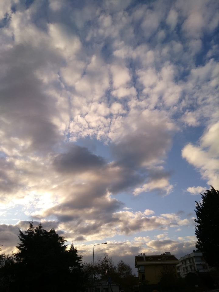 sky✨