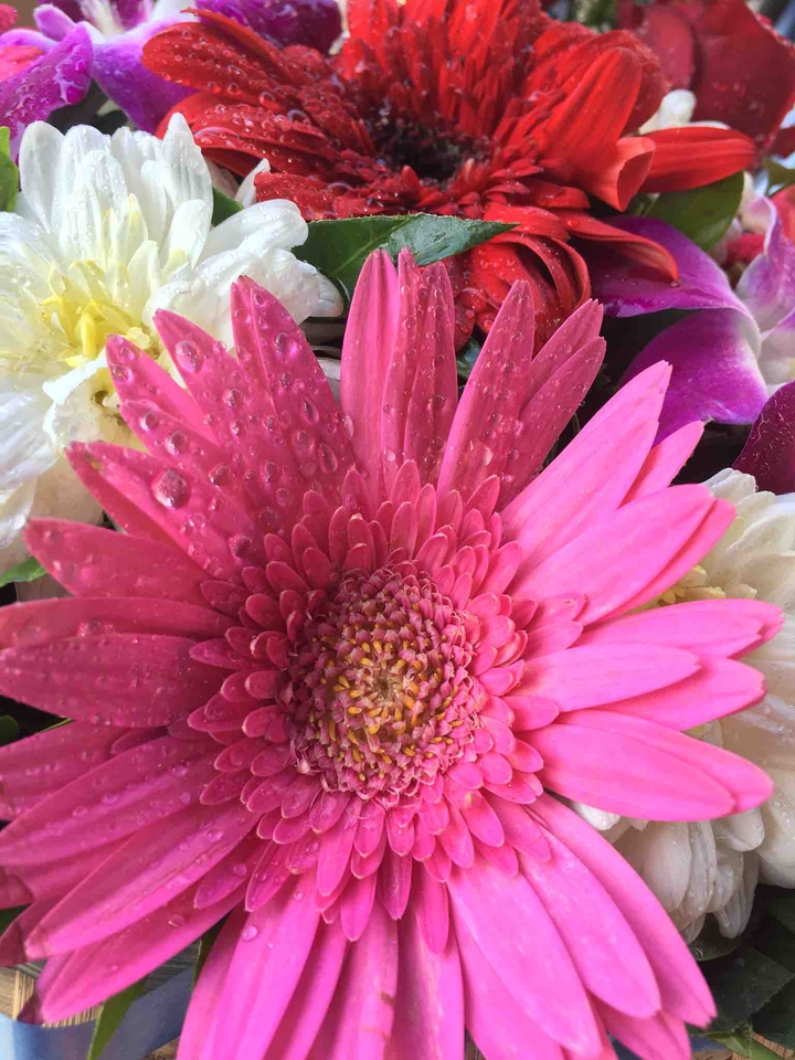 flowers
