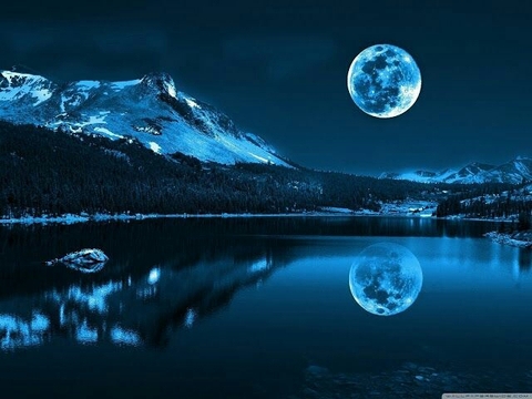 Moonlit night