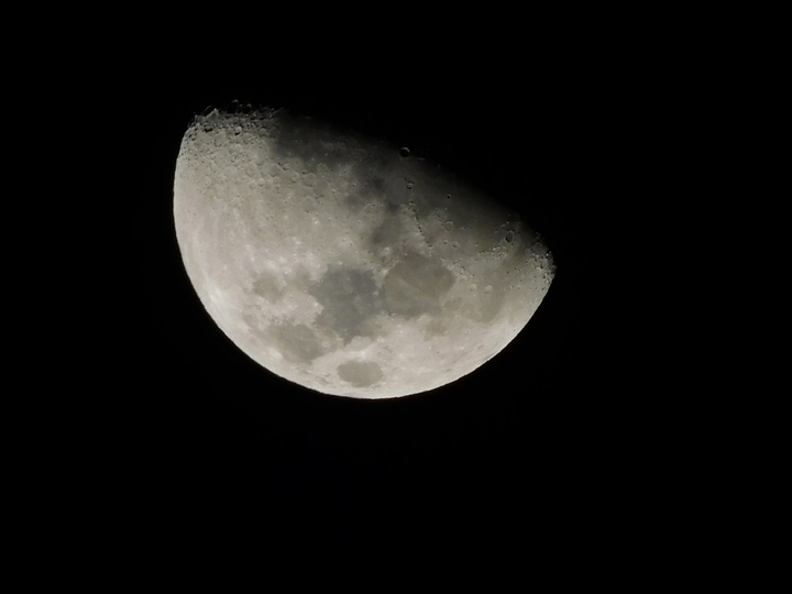 moom