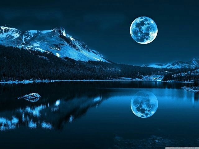 Moonlit night