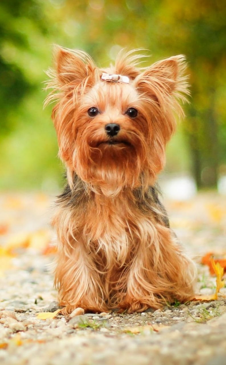 cuty