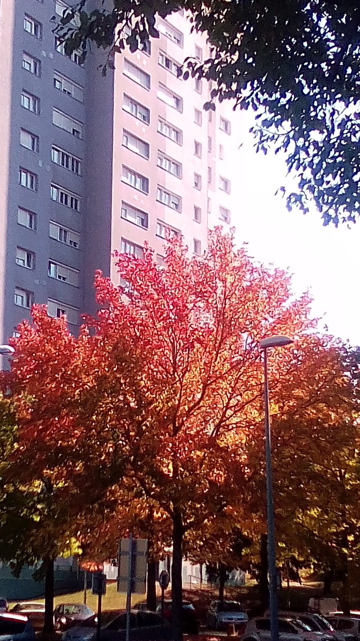 automne