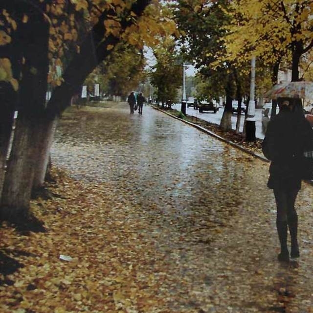 بعید نیست سرم را غزل به باد دهد