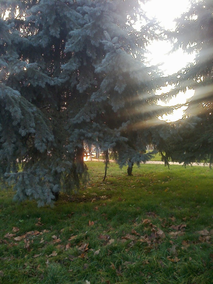 вечер