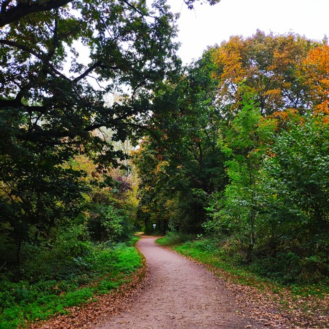 Herbst