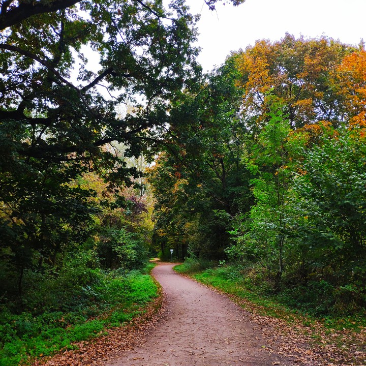 Herbst