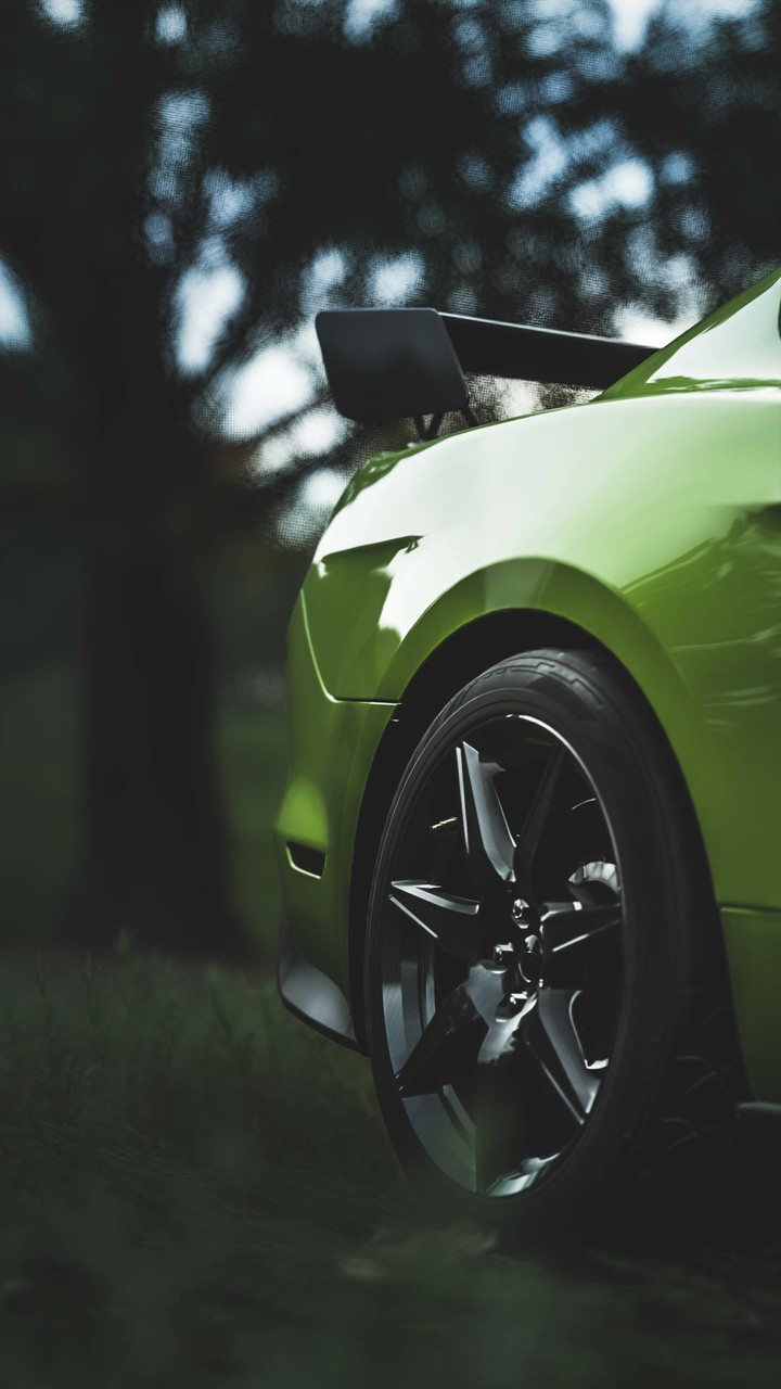Mustang Shelby