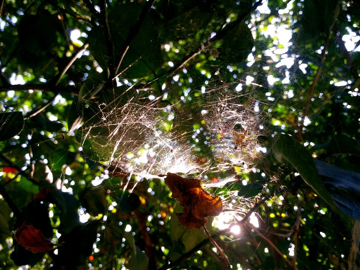 nice