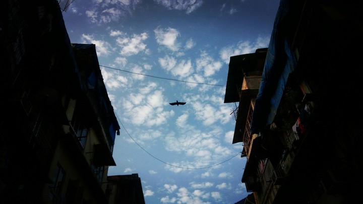 perfect day and a perfect shot by me