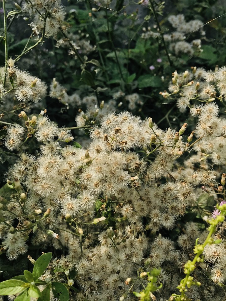 =