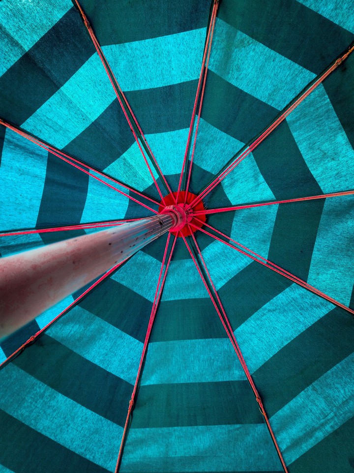 fancy Umbrella