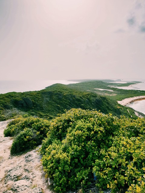 Pointe de la Guadeloupe