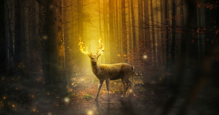 nature love