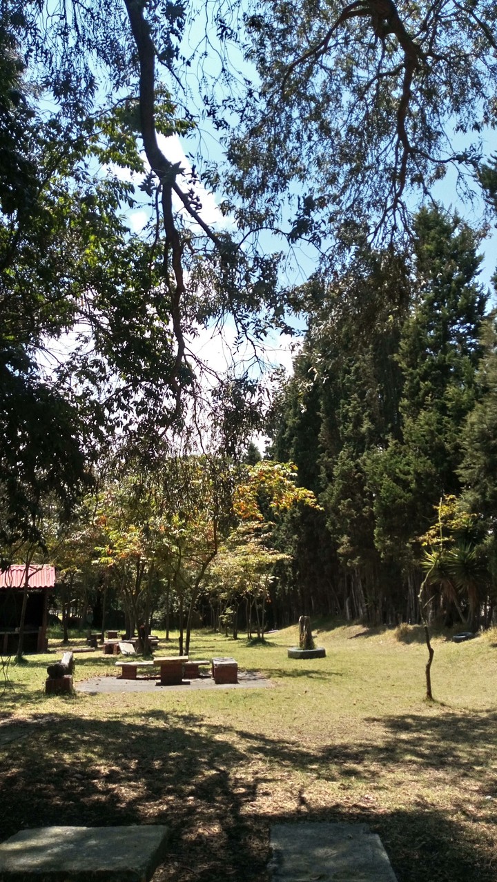 Green life