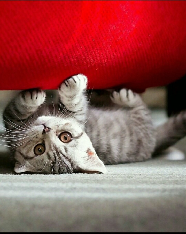 :-P