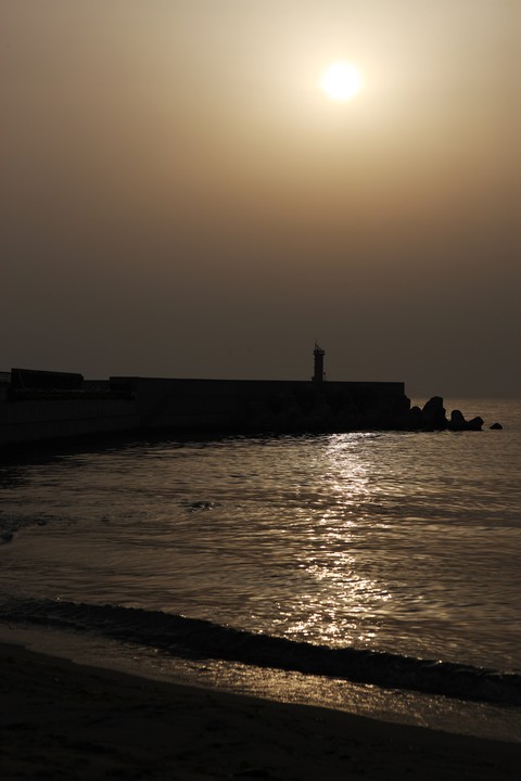 Scenics