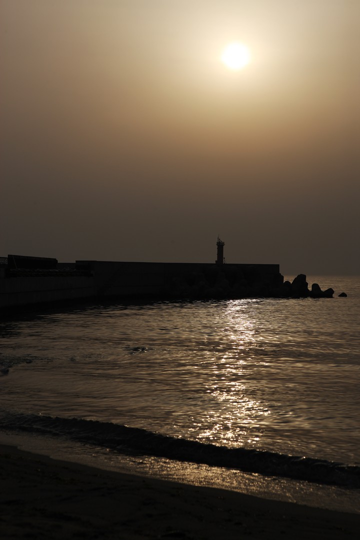 Scenics