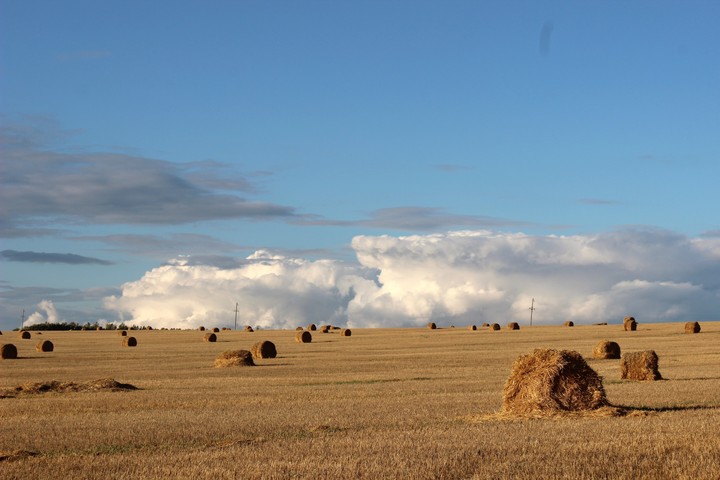 Haystack