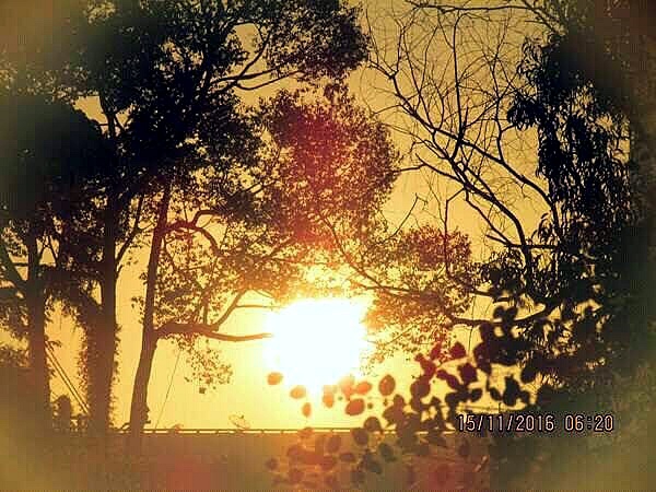 Good morning sun