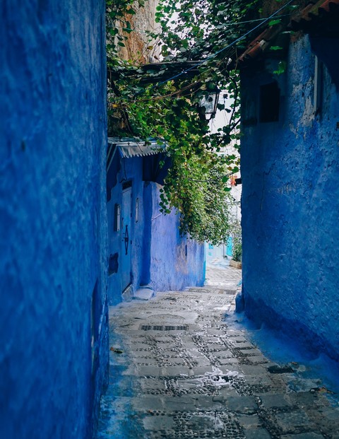 Blue Alley