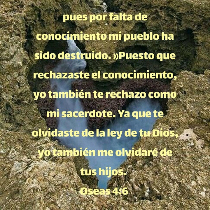 Biblia