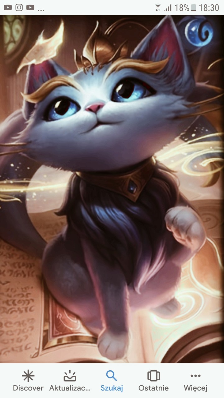 yuumi
