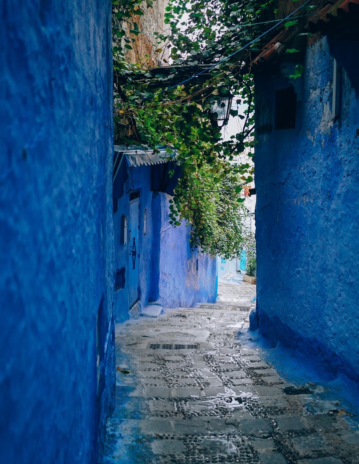 Blue Alley