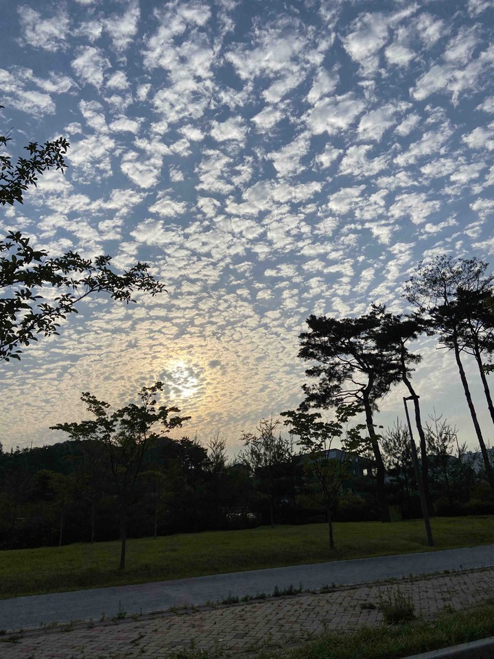 Near by house