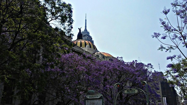 bellas artes