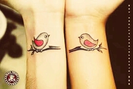 love birds