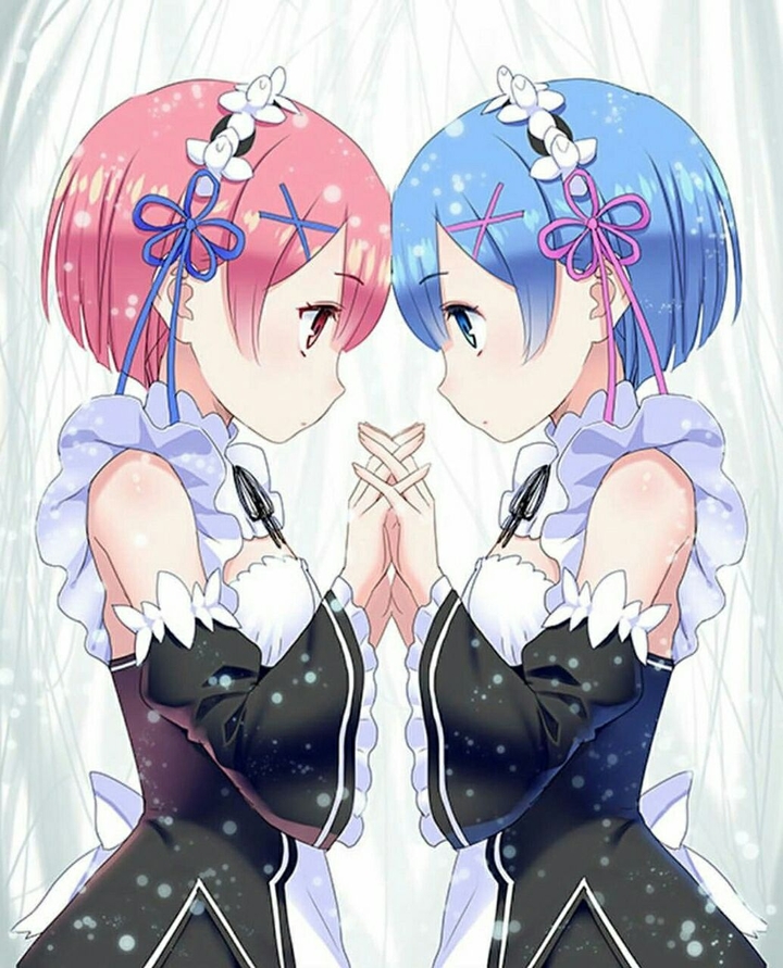•●Rem & Ram ~ Re: Zero●•