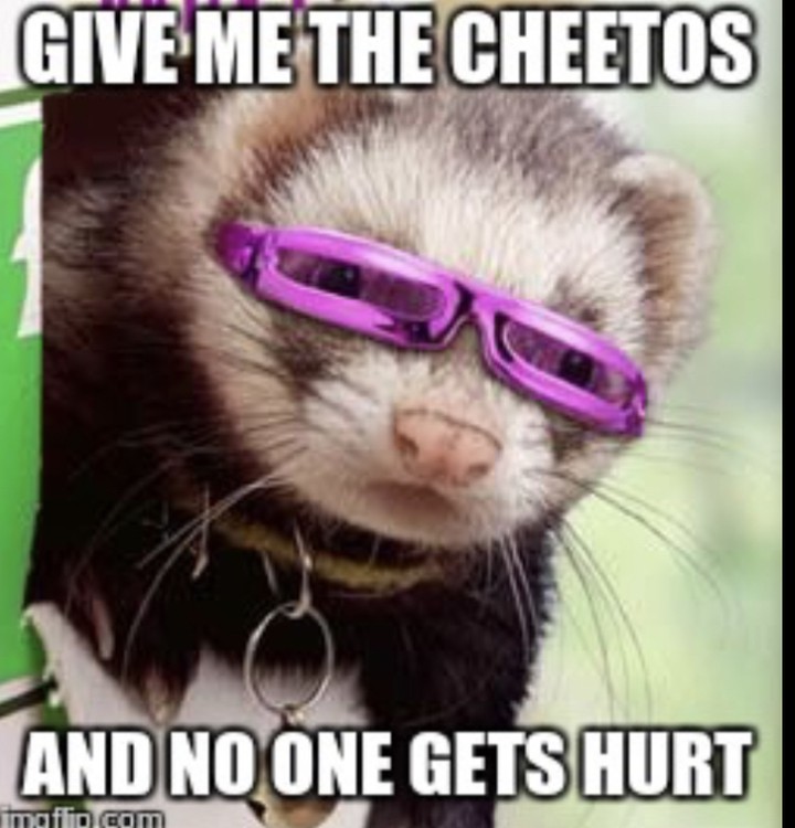 GIMME THE CHEETOS