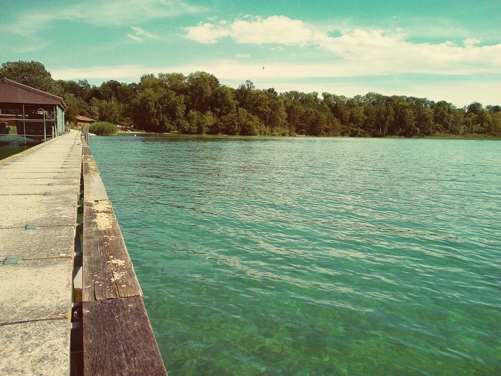 Lake in the forest.
