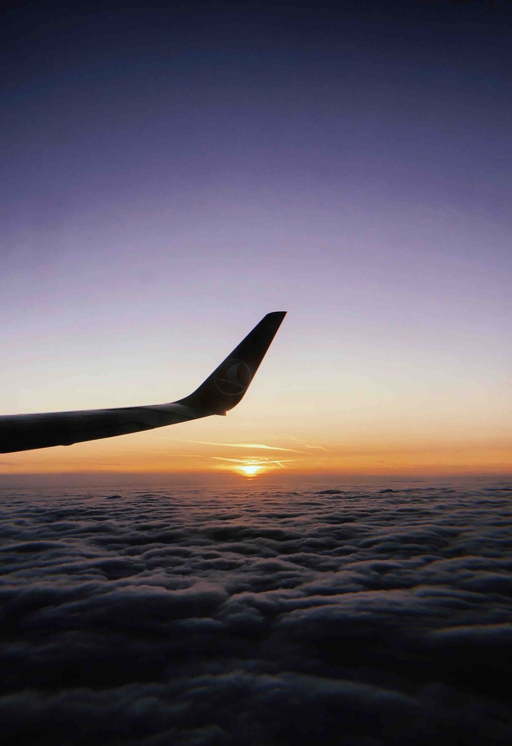 fly