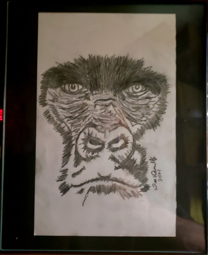 Gorilla Face