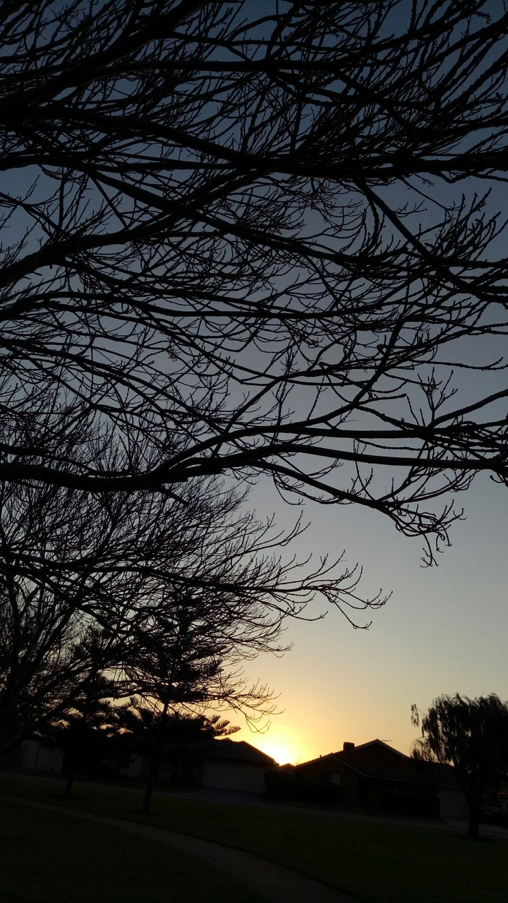 sunset