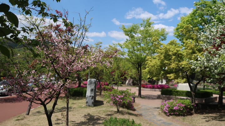 Spring in Korea