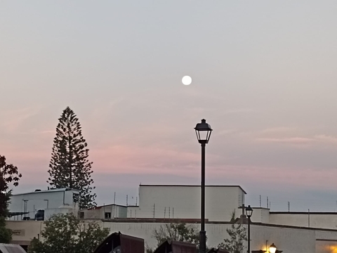 papéis de parede dusk, Building