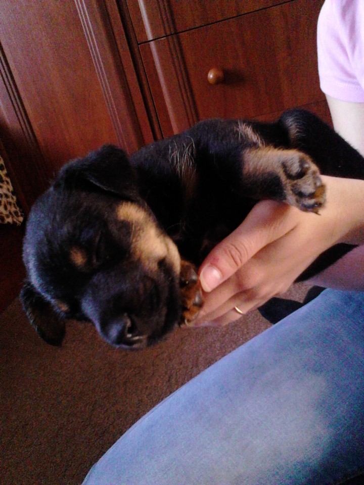 :3
