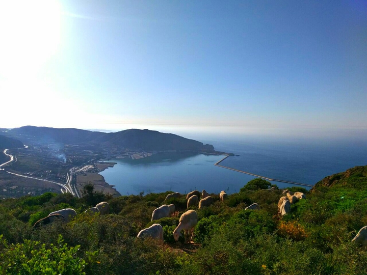 nature