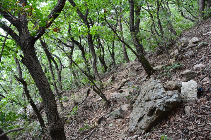 수리산이미지