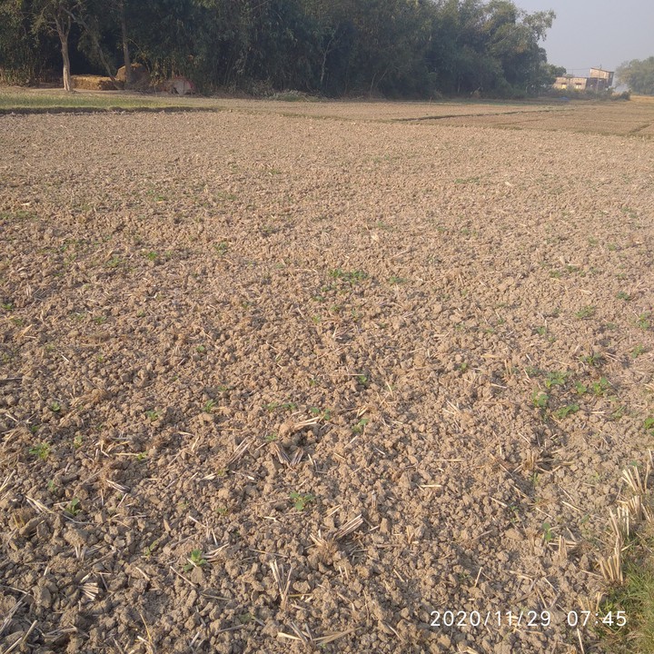 Land Soil