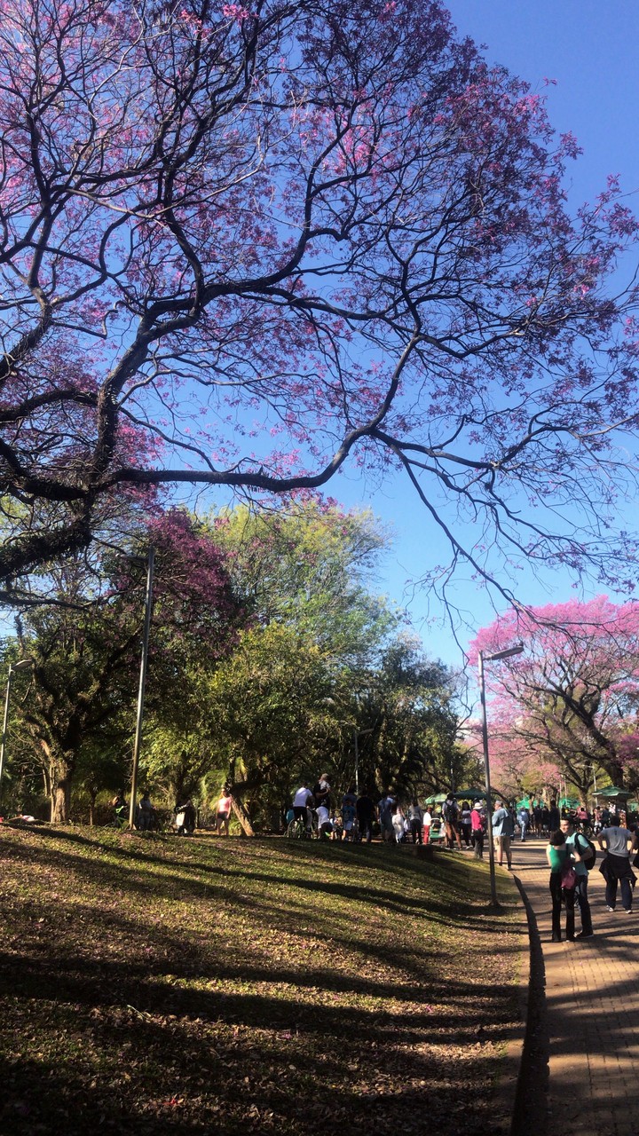 Parque Ibiraquera