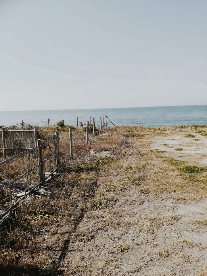 浜辺