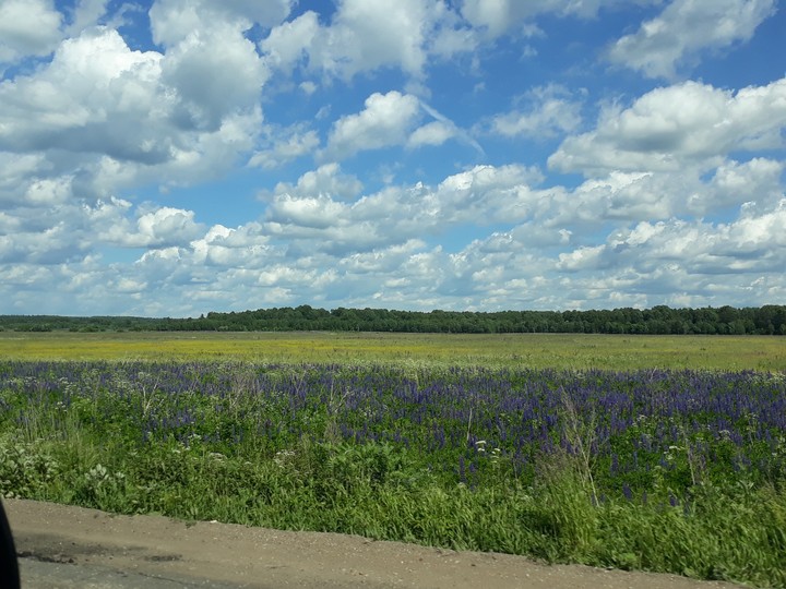 Russian nature